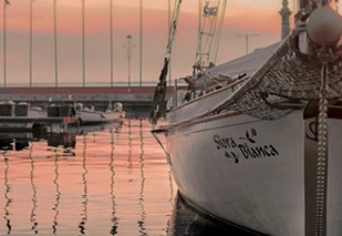 Segelschiff Siora Bianca