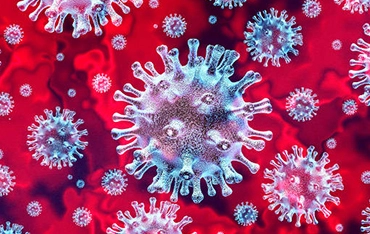 Coronavirus am Gardasee