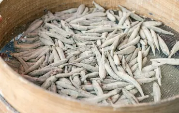 Typische Menü des Gardasees Fisch Typische Menü des Gardasees Fisch