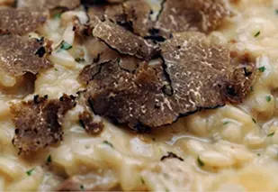 Risotto mit Käsecreme und schwarzen Trüffeln