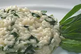 isotto mit Silene Vulgaris